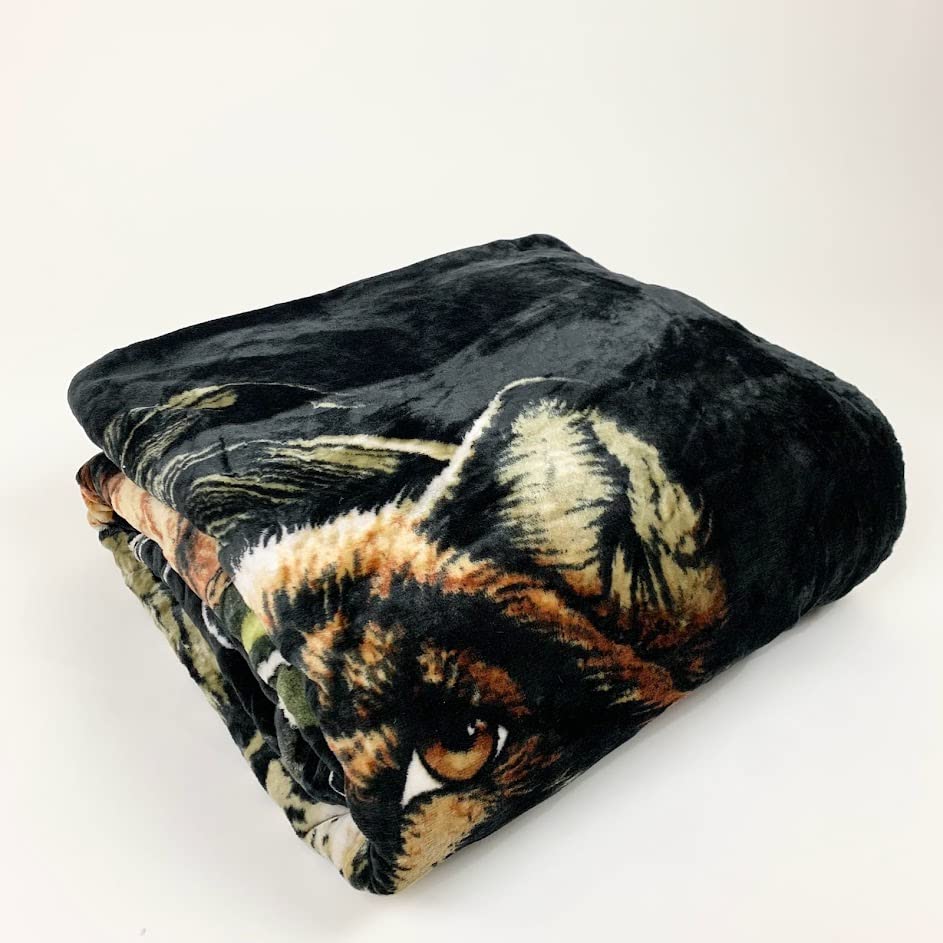 Sherpa Fleece Queen Blanket, 25+ Designs