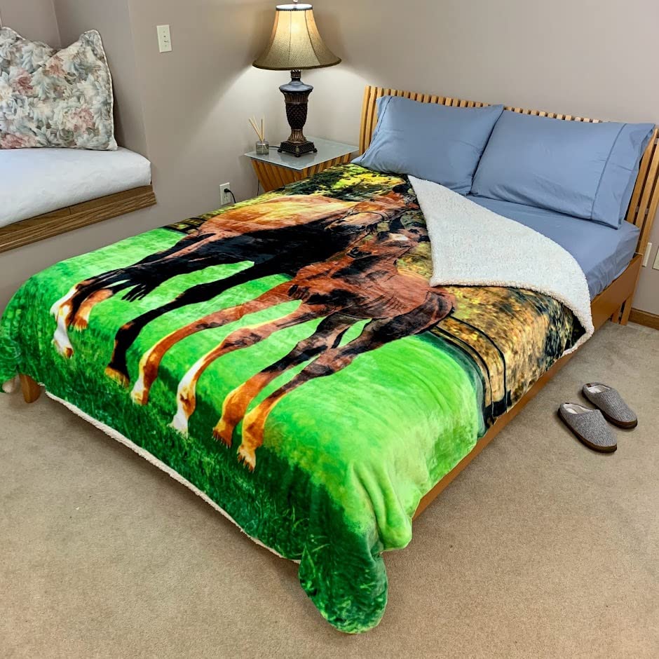 Sherpa Fleece Queen Blanket, 25+ Designs