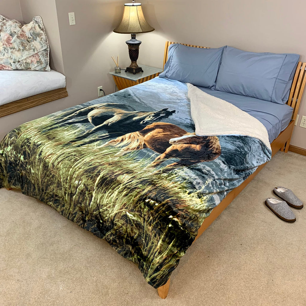 Sherpa Fleece Queen Blanket, 25+ Designs