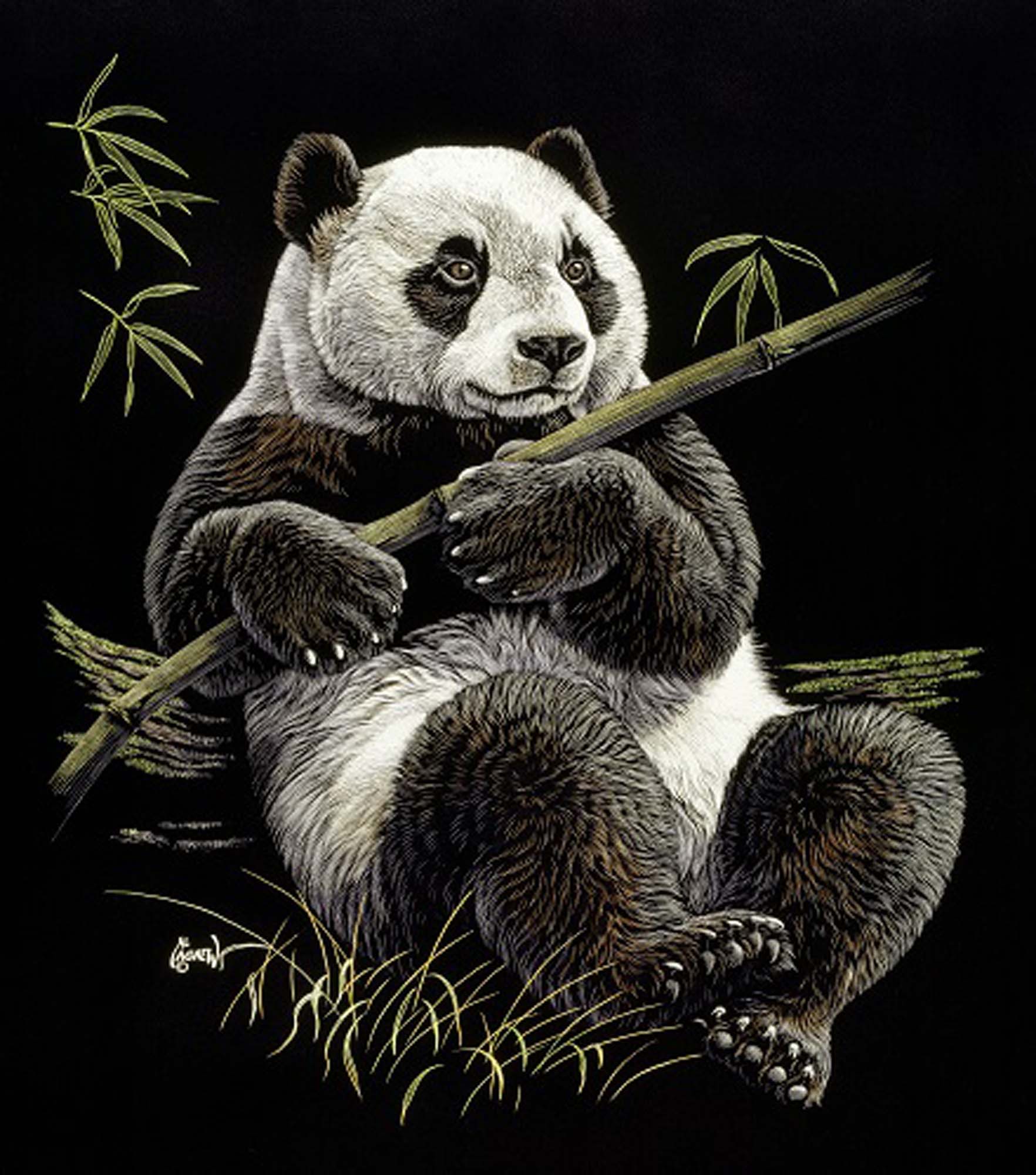 Plush Queen Size Panda Blanket - Extremely Soft - Machine Washable - Panda