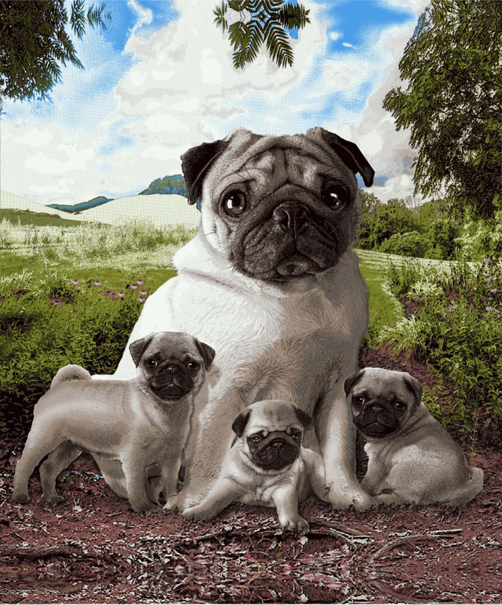 Plush Queen Size Dog Blanket - Extremely Soft - Machine Washable - Pug Family