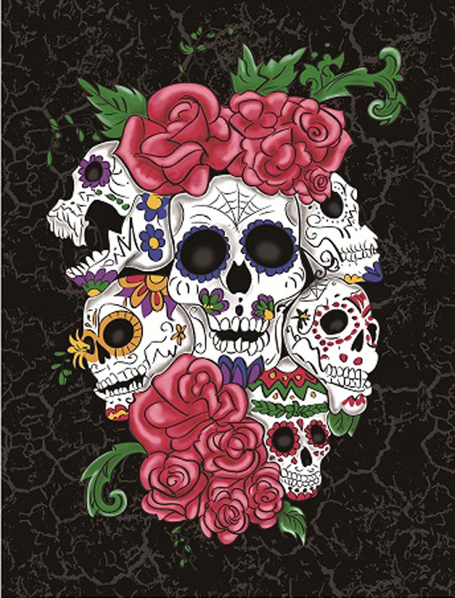 Plush Queen Size Sugar Skull Blanket - Extremely Soft - Machine Washable - Six Skulls