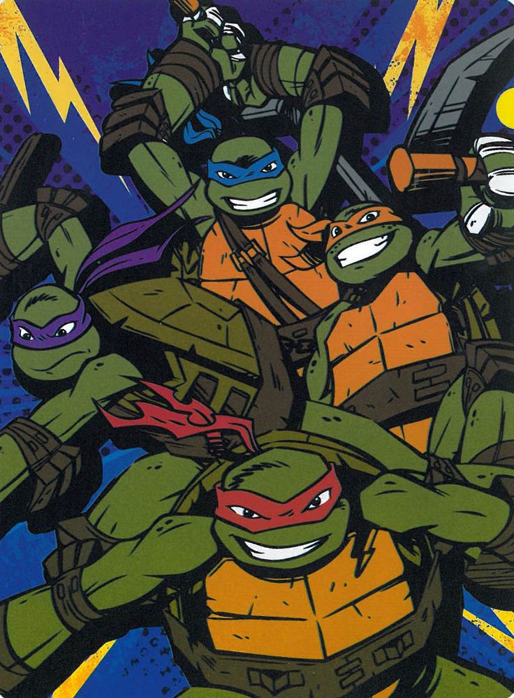 60x80 Teenage Mutant Ninja Turtles Blanket