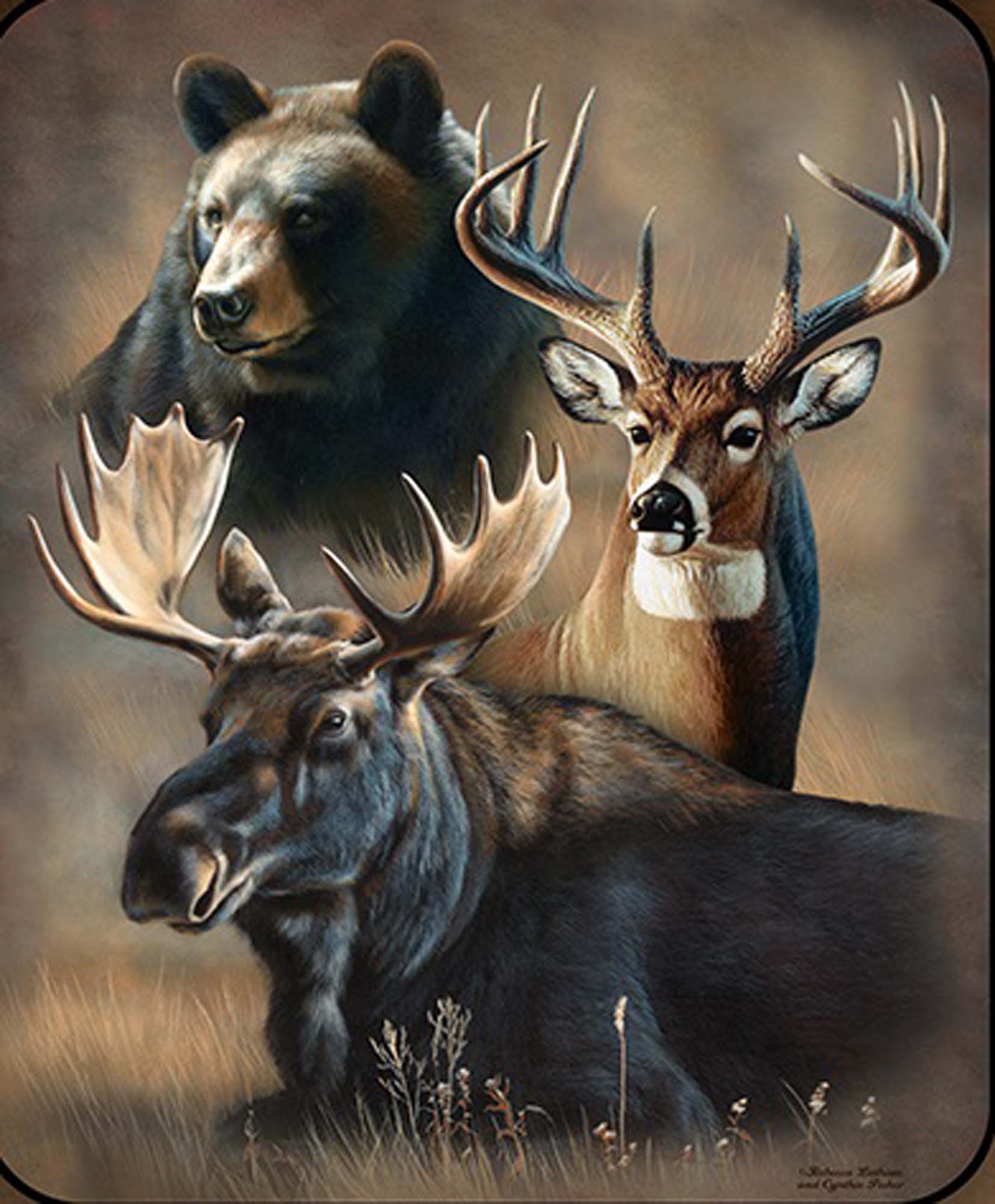 Plush Queen Wilderness Blanket - Extremely Soft - Machine Washable - Dynamic Trio