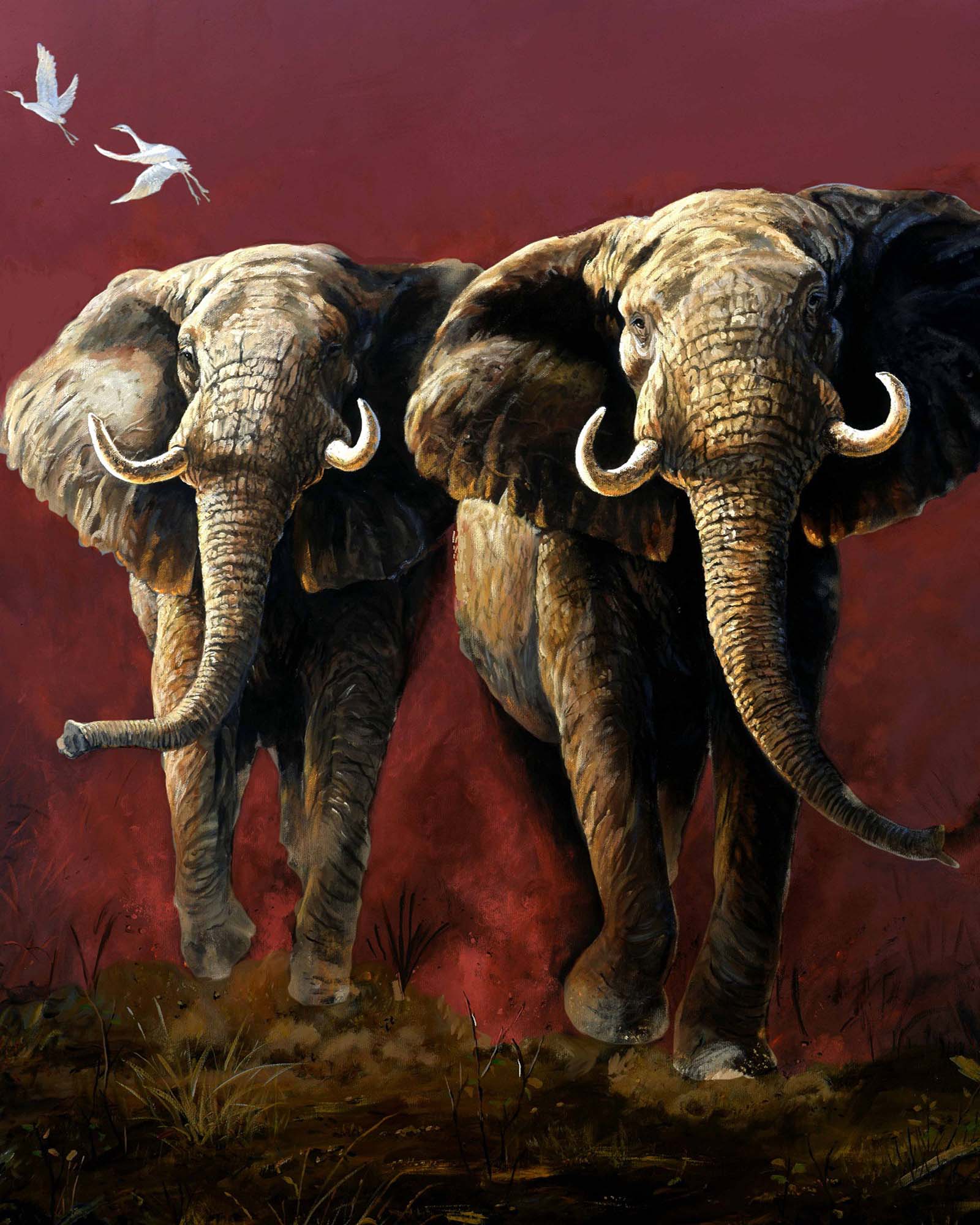 Plush Queen Elephant Blanket - Extremely Soft - Machine Washable - Not Enough Gun