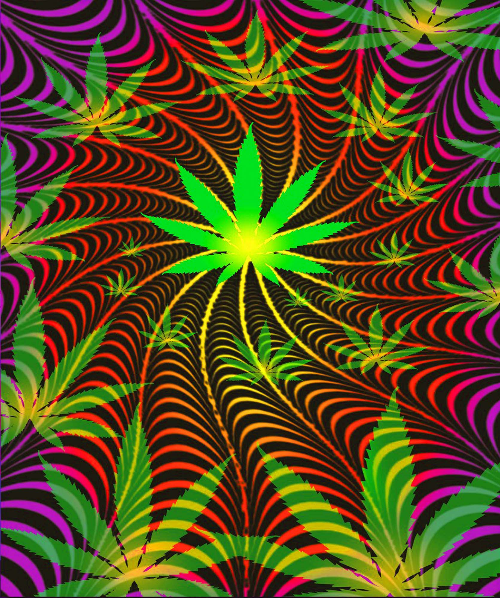 Plush Queen Size Marijuana Blanket - Extremely Soft - Machine Washable - Sativa Twist