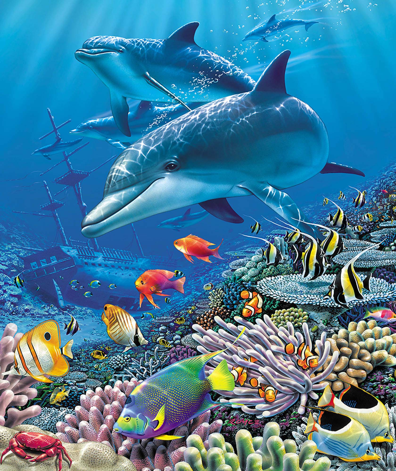 Plush Queen Size Dolphin & Fish Blanket - Extremely Soft - Machine Washable - Shipwreck