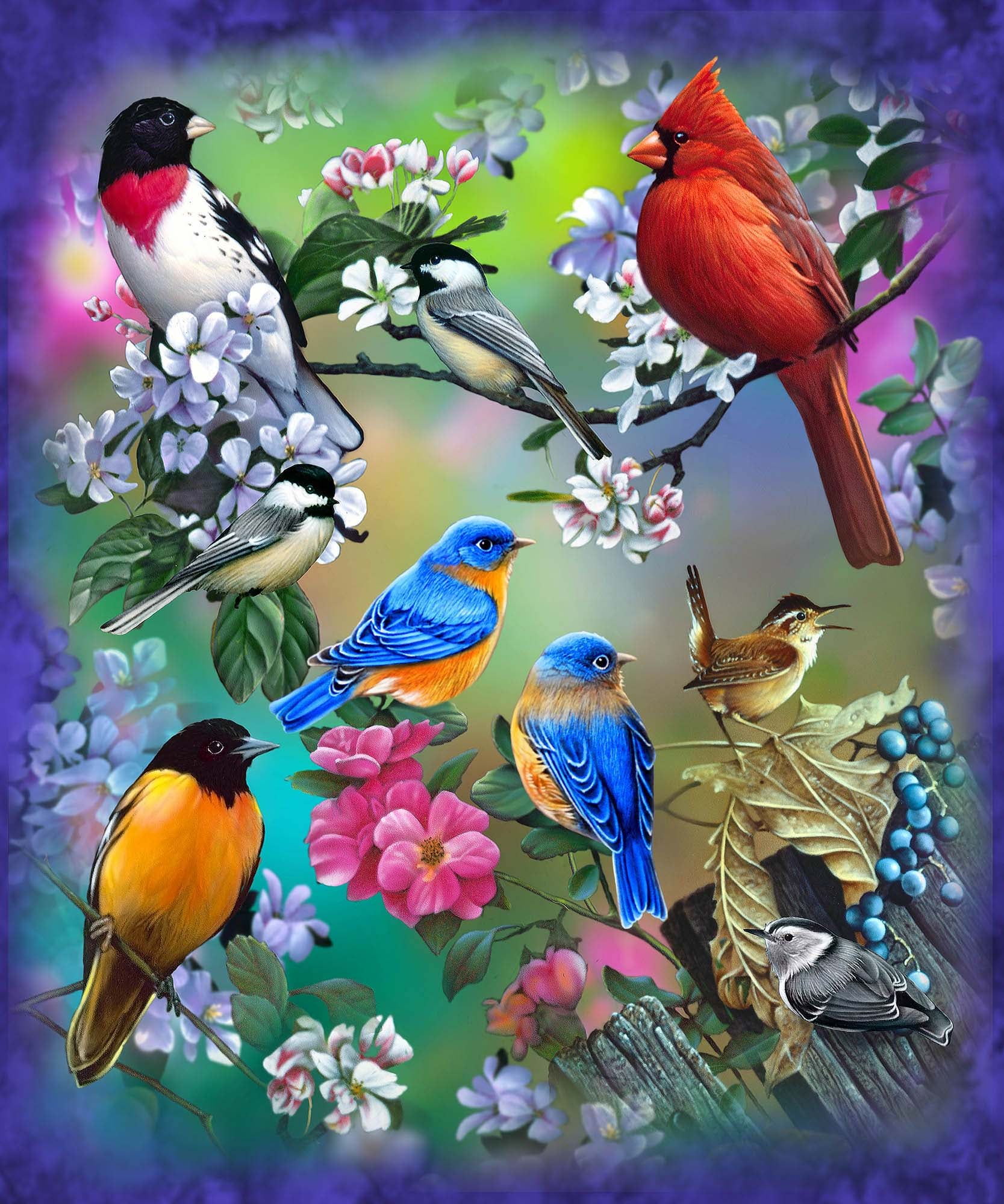 Plush Queen Size Bird Blanket - Extremely Soft - Machine Washable - Sing Along