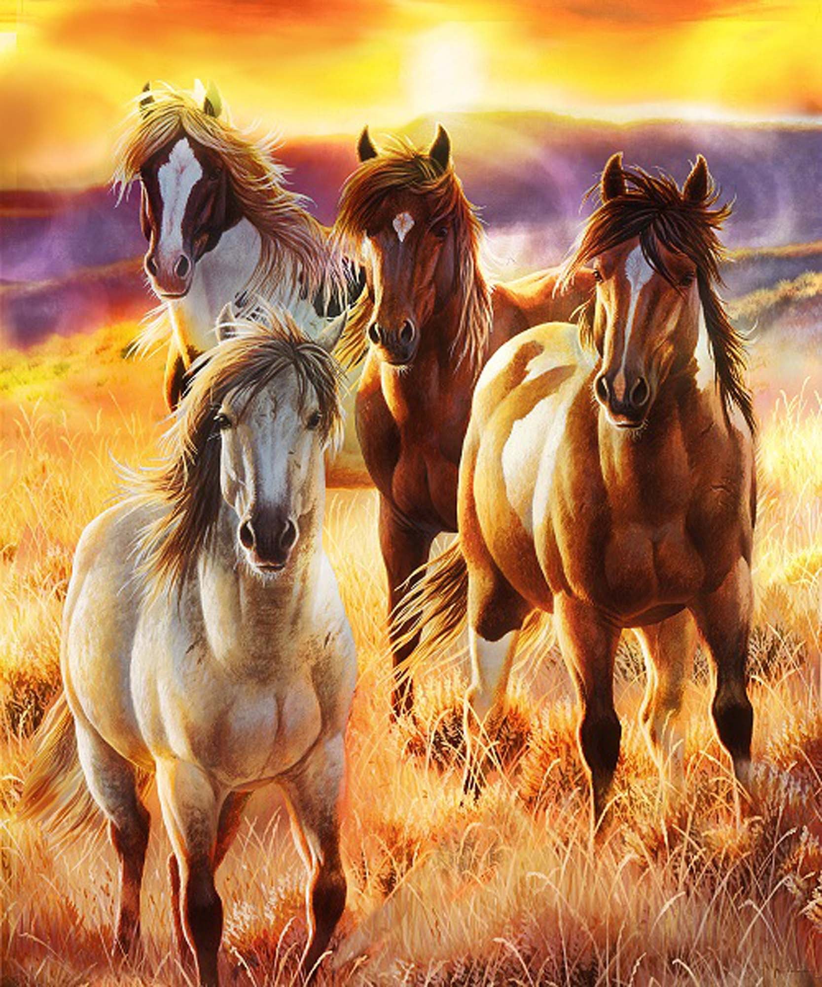 Plush Queen Horse Blanket - Extremely Soft - Machine Washable - Sunrise Beauties